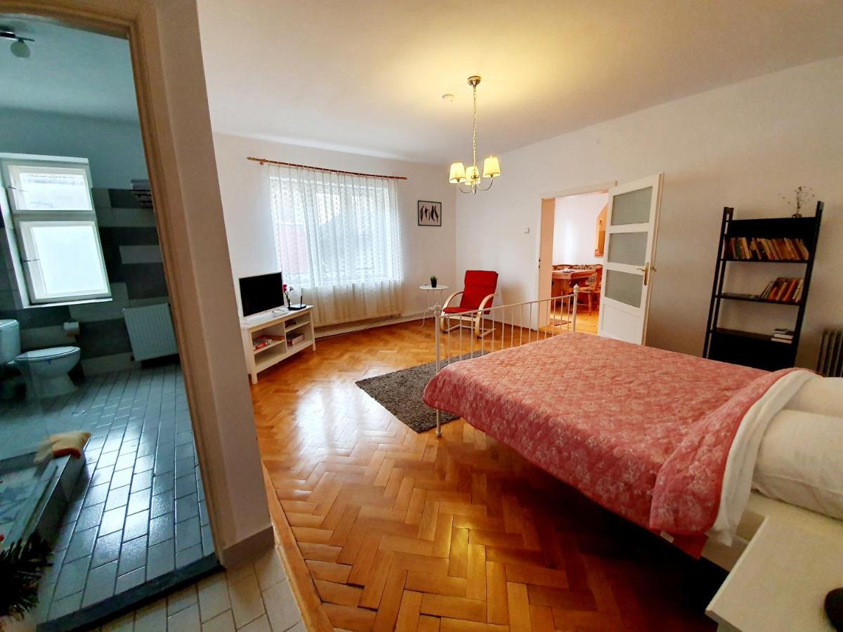 Luk Old Town Apartment Sibiu Eksteriør bilde